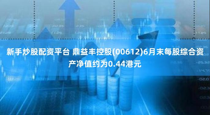 新手炒股配资平台 鼎益丰控股(00612)6月末每股综合资产净值约为0.44港元