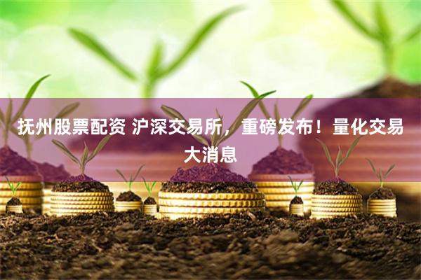 抚州股票配资 沪深交易所，重磅发布！量化交易大消息