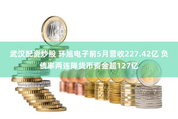 武汉配资炒股 环旭电子前5月营收227.42亿 负债率两连降货币资金超127亿