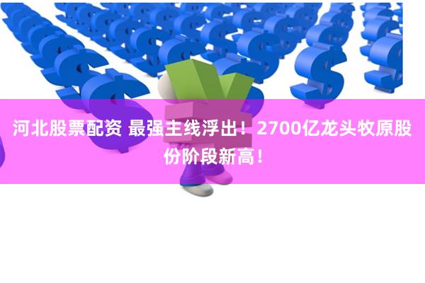 河北股票配资 最强主线浮出！2700亿龙头牧原股份阶段新高！