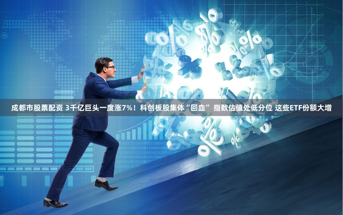 成都市股票配资 3千亿巨头一度涨7%！科创板股集体“回血” 指数估值处低分位 这些ETF份额大增