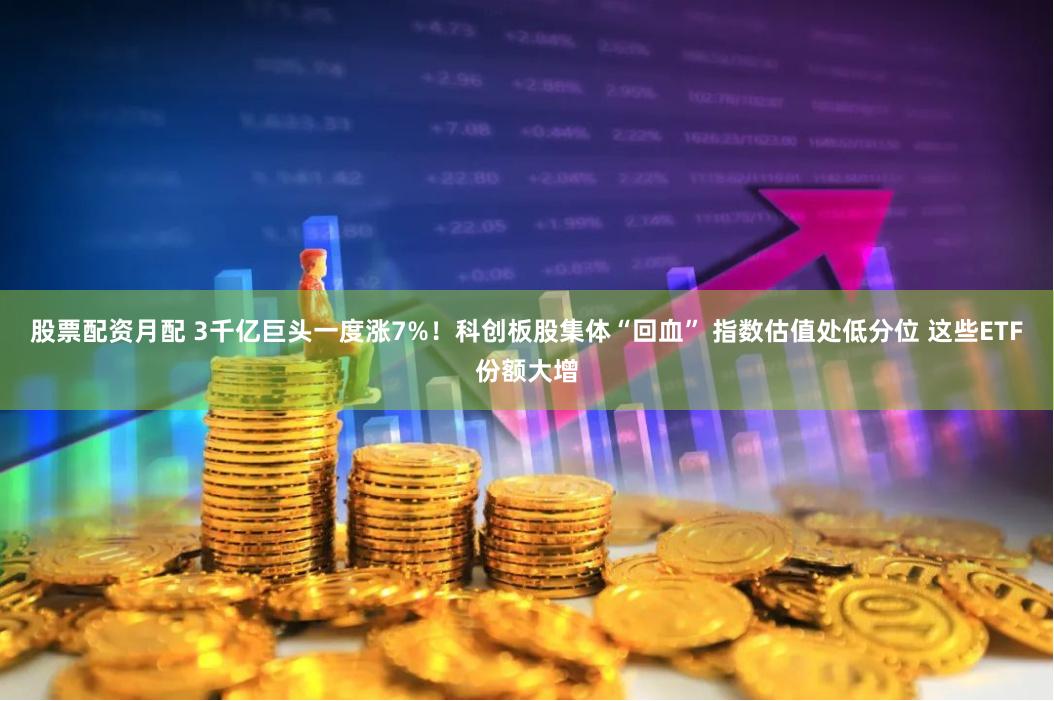 股票配资月配 3千亿巨头一度涨7%！科创板股集体“回血” 指数估值处低分位 这些ETF份额大增