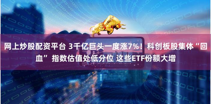 网上炒股配资平台 3千亿巨头一度涨7%！科创板股集体“回血” 指数估值处低分位 这些ETF份额大增