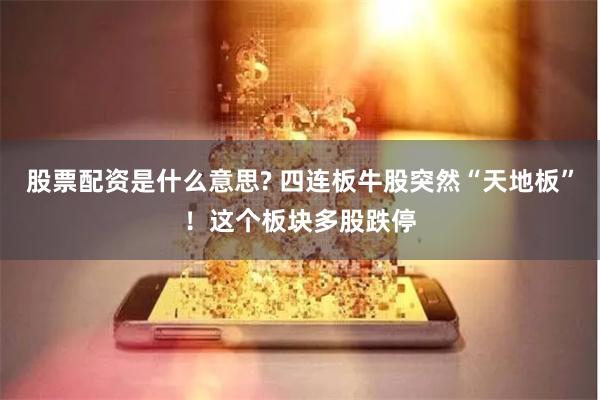 股票配资是什么意思? 四连板牛股突然“天地板”！这个板块多股跌停