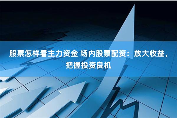 股票怎样看主力资金 场内股票配资：放大收益，把握投资良机