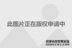 全球储能产业迈进黄金时代中国跑出能源变革加速度